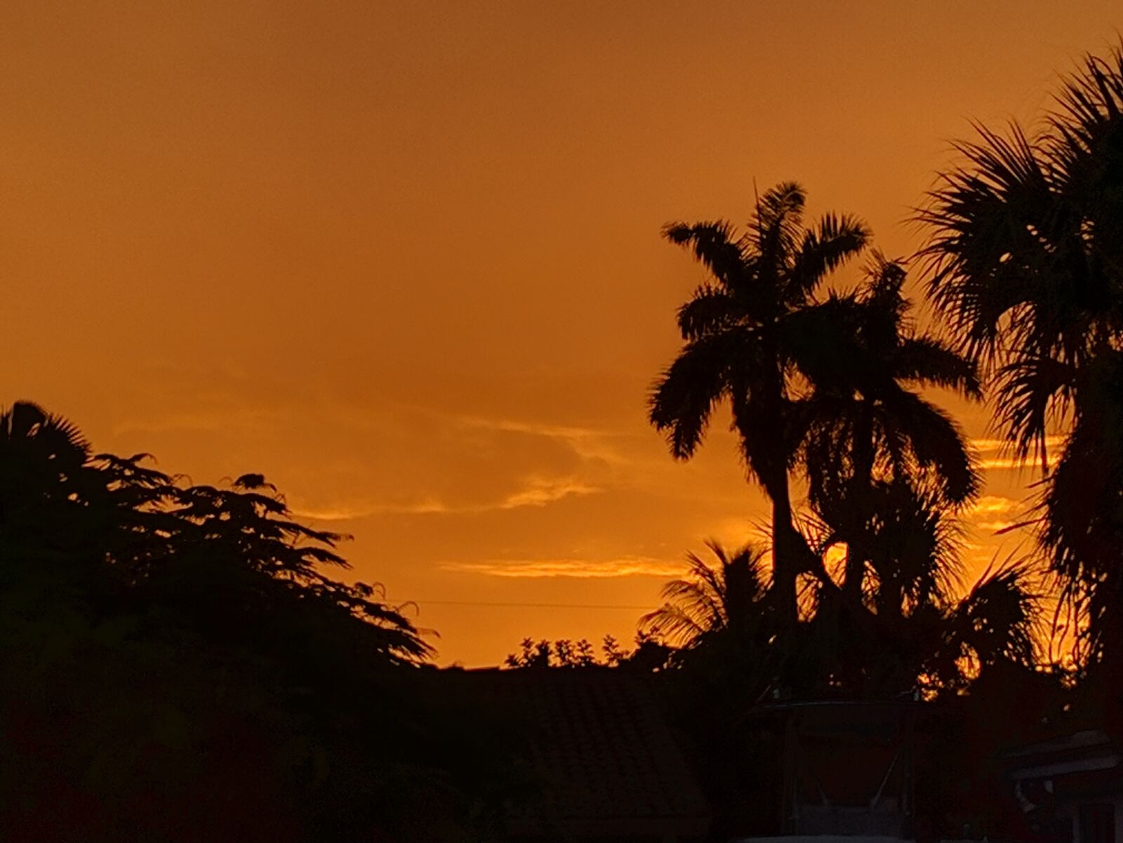 Google Nexus 6P sample photo. Sunset, exotic, florida photography