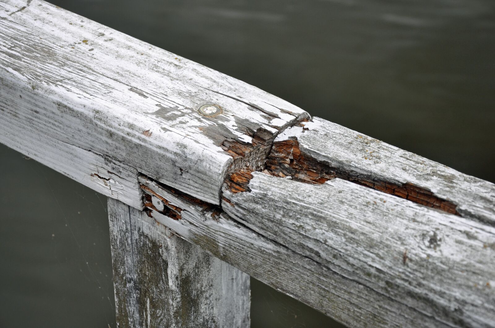 Nikon D90 sample photo. Wood, bar, railing photography