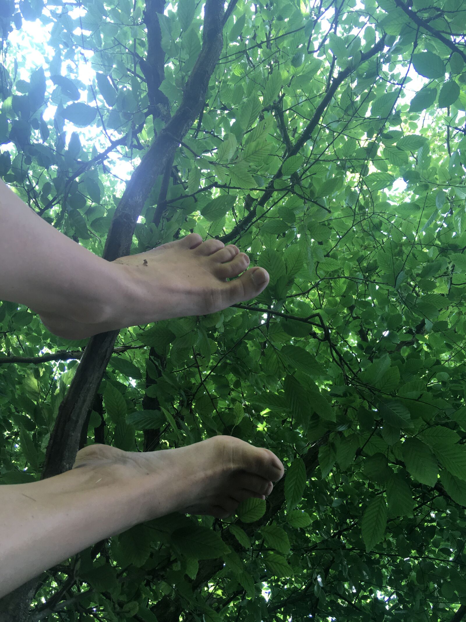 Apple iPhone SE (1st generation) sample photo. Feet, branch, tree photography