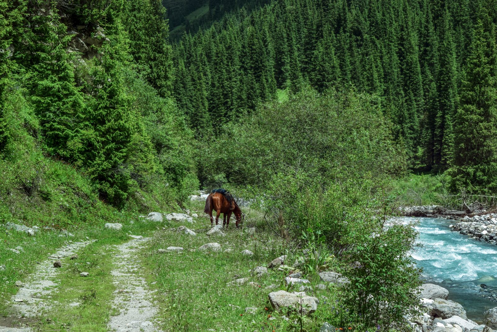 Nikon D5300 sample photo. Mountains, tianshan, snow photography
