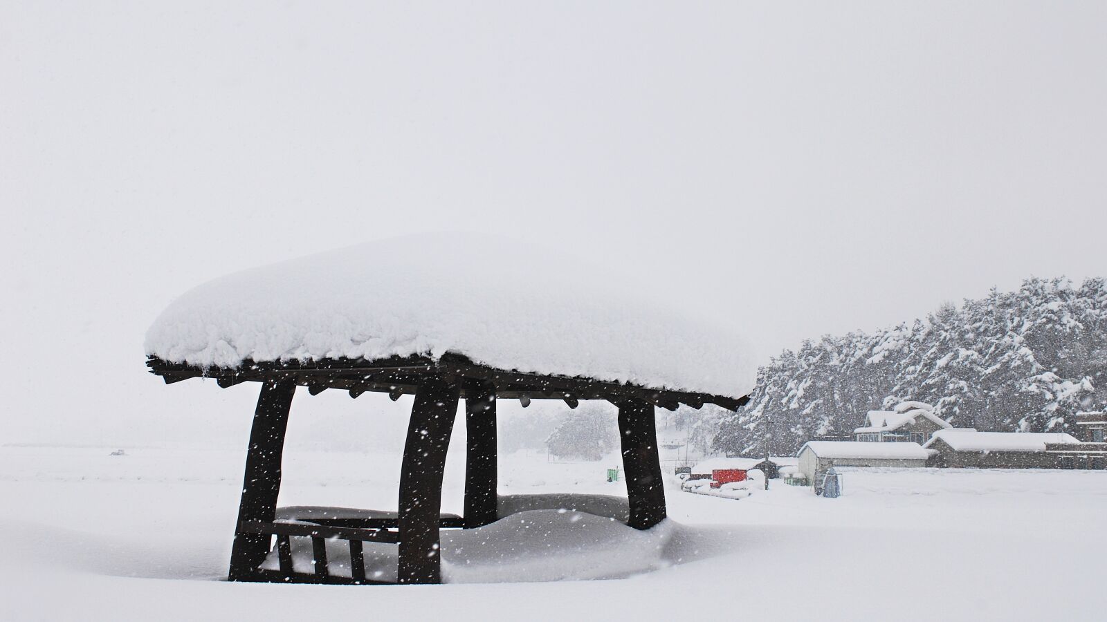 Nikon D2Xs sample photo. Eye distance, winter, nature photography