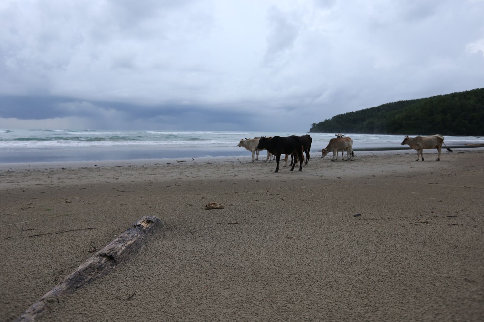 Canon EOS 6D + Canon EF 16-35mm F2.8L II USM sample photo. Beach, the body of photography