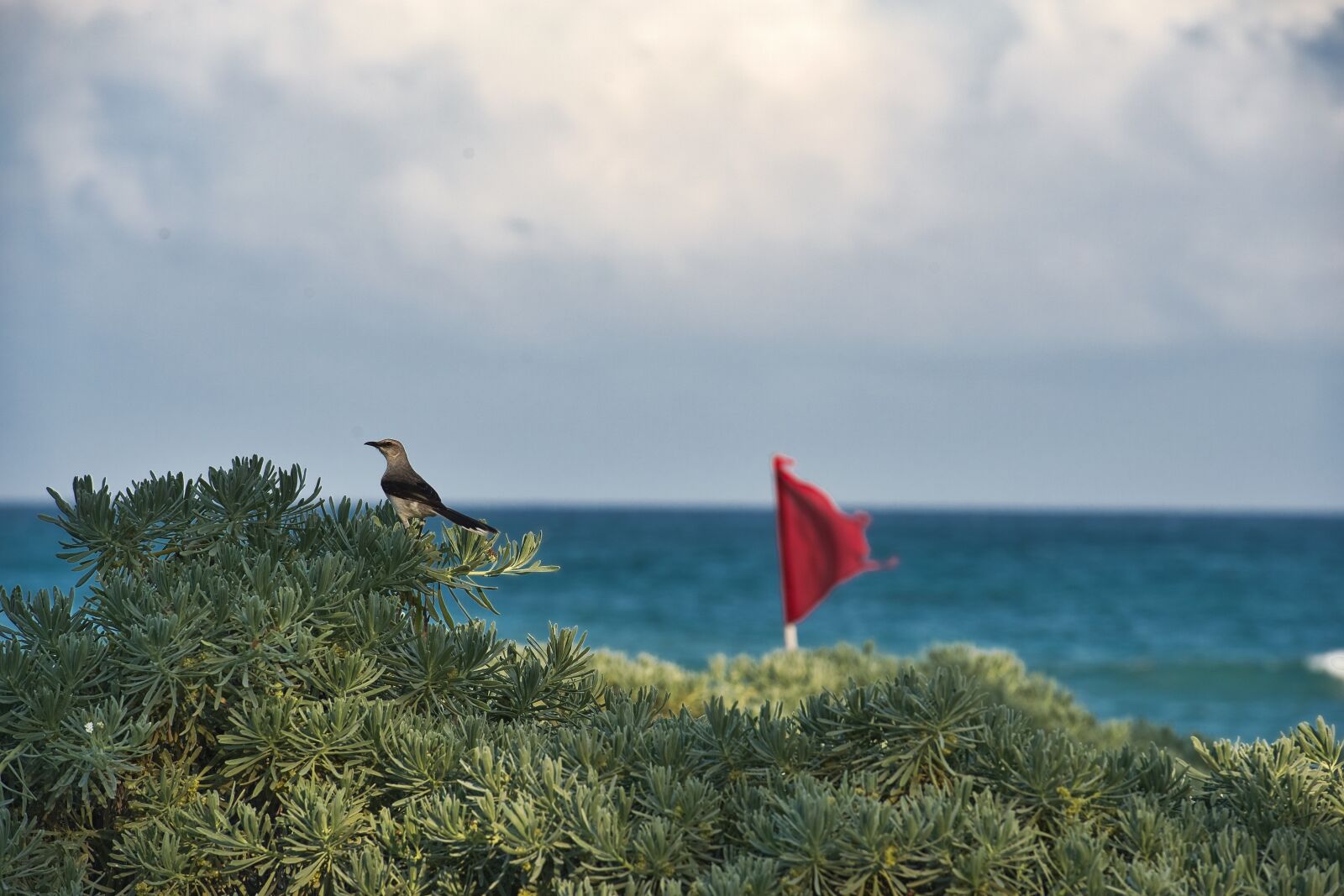 Nikon D800 sample photo. Landscape, beach, sea photography