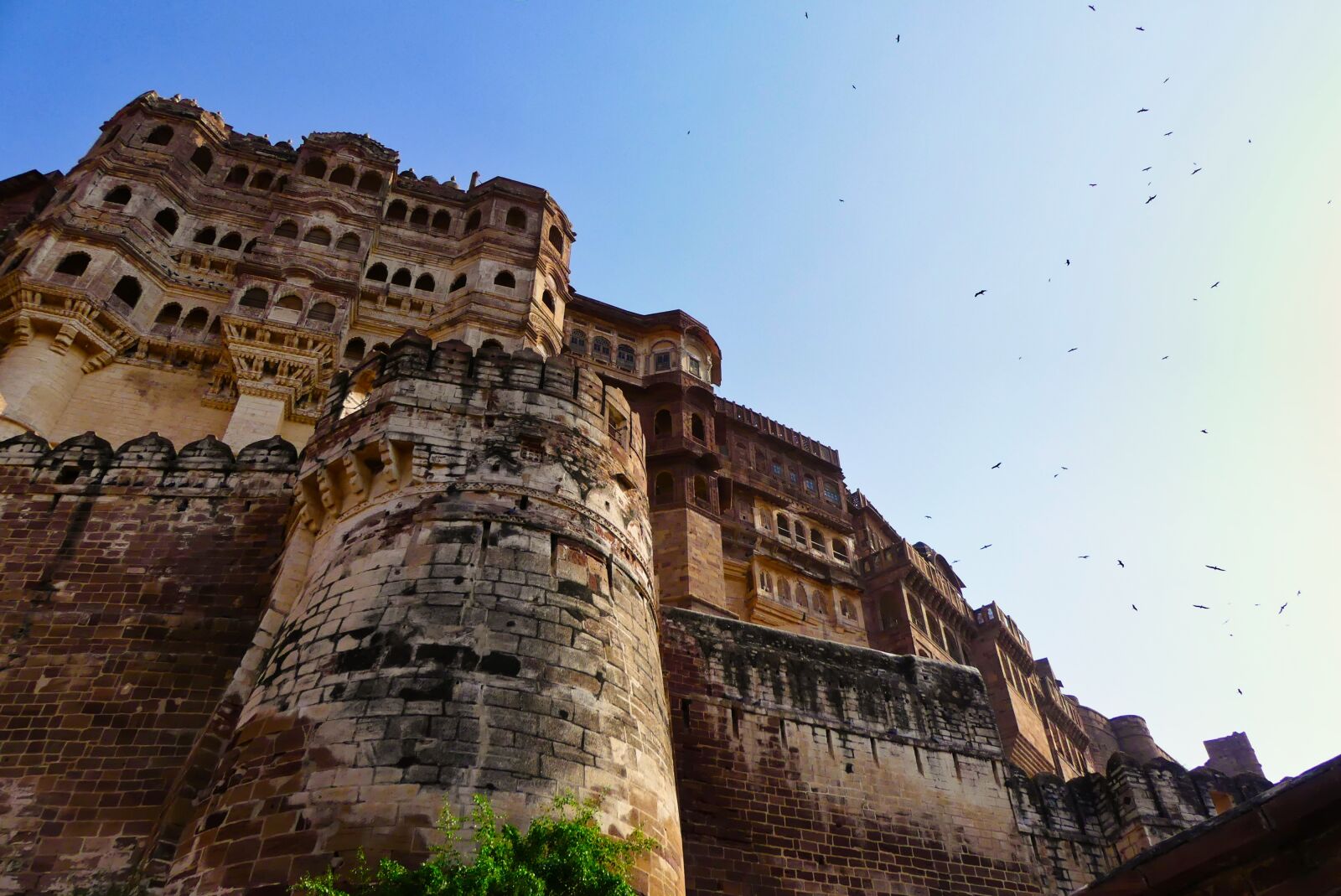 Panasonic Lumix DMC-FZ300 sample photo. India, fort, architecture photography