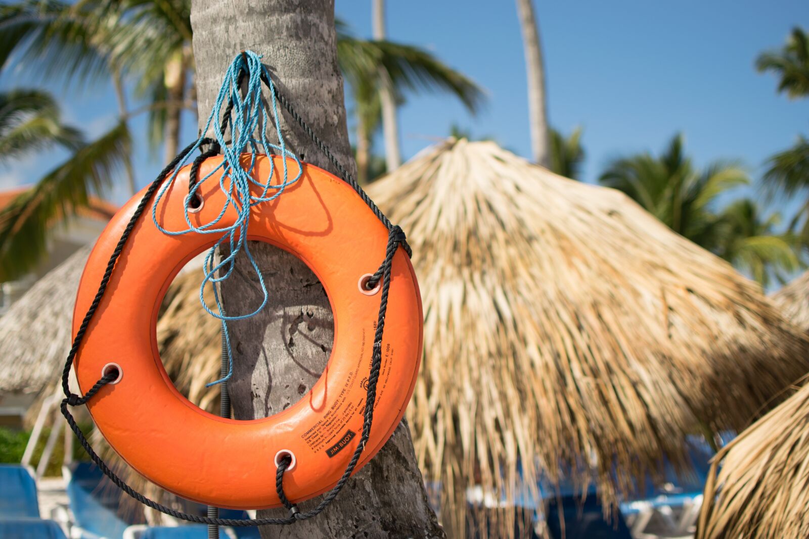 Nikon D5300 sample photo. Lifebelt, lifeguard, swim photography