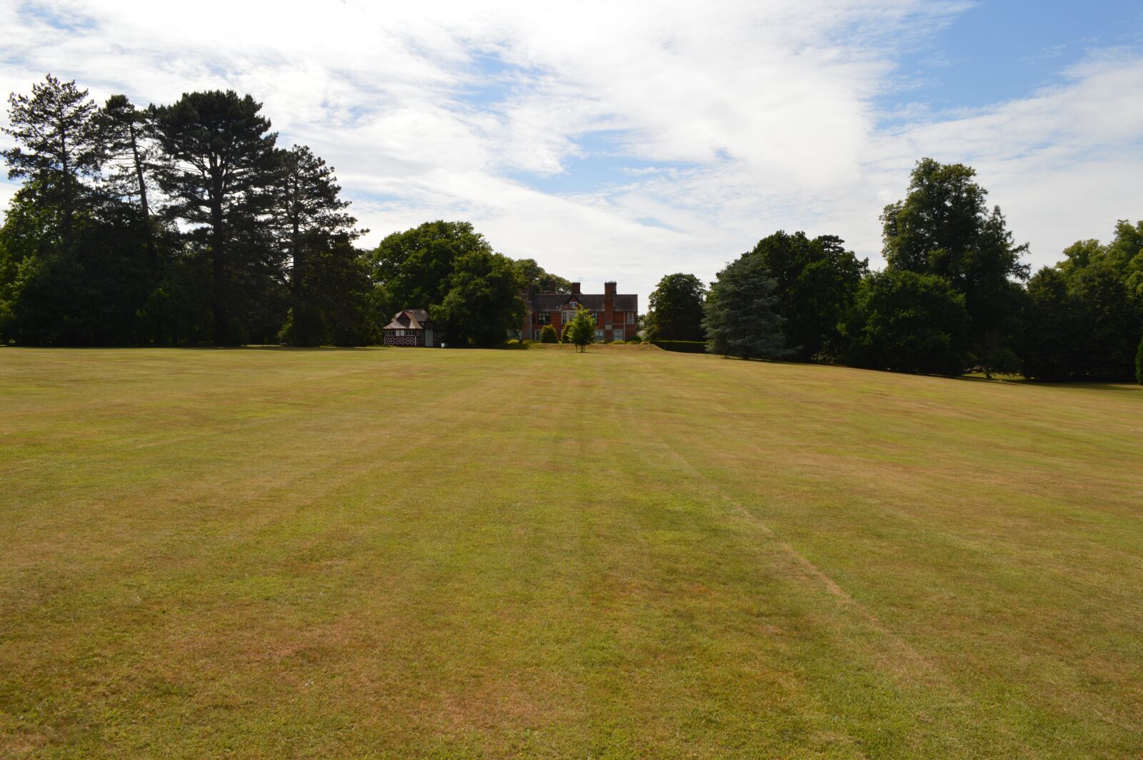 Nikon D3200 sample photo. Landscape, grass, nature photography
