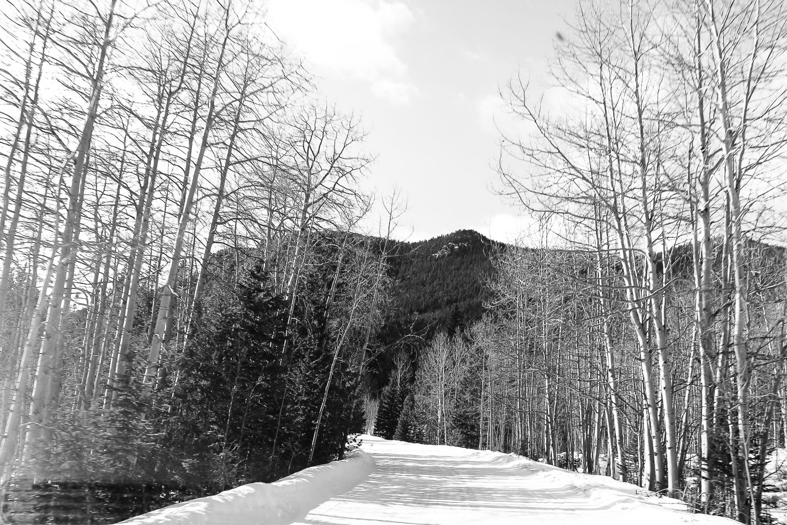 Canon EOS 70D sample photo. Mountain, aspen, snow photography