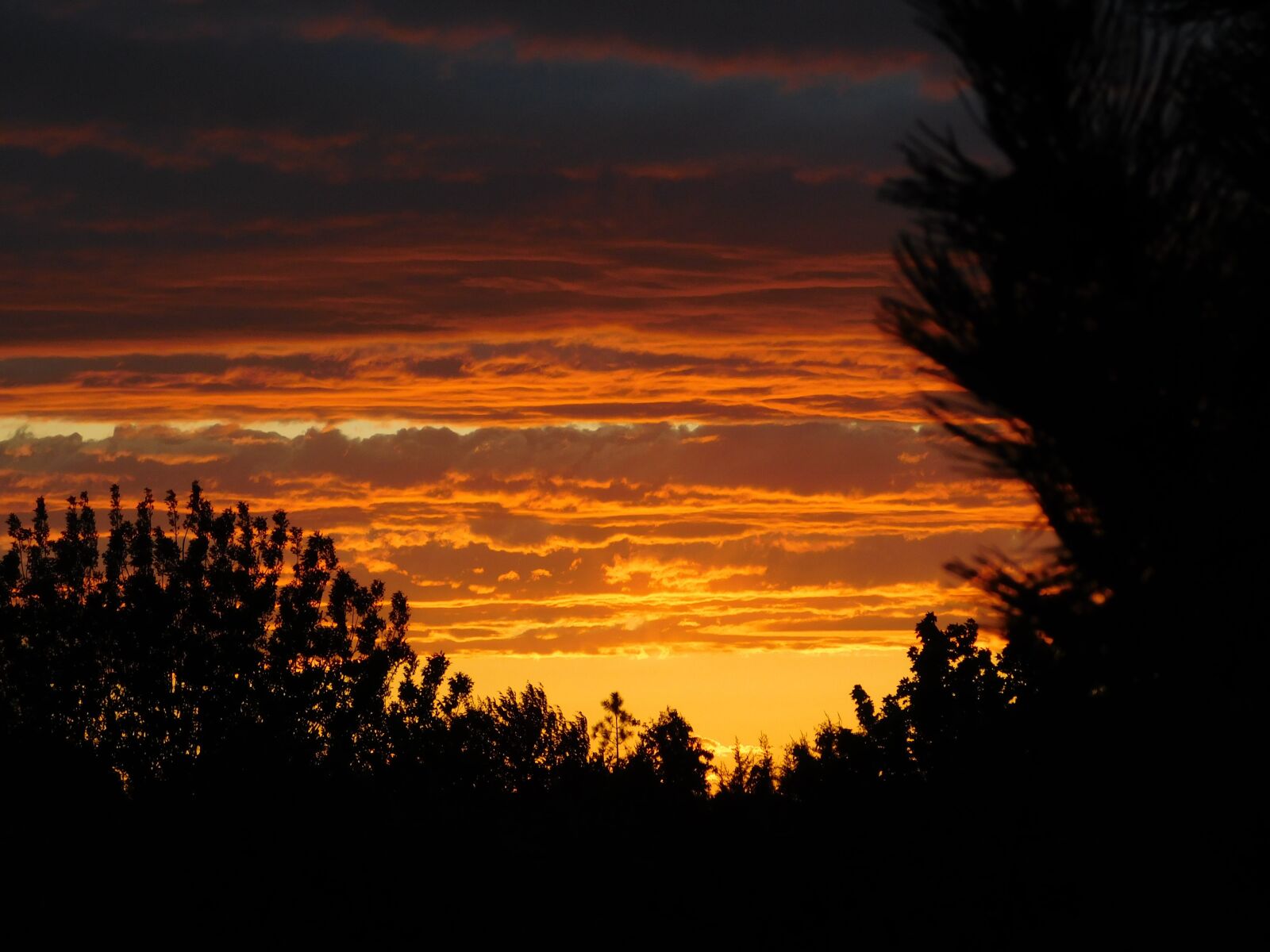 Nikon Coolpix L840 sample photo. Sunset, clouds, sky photography