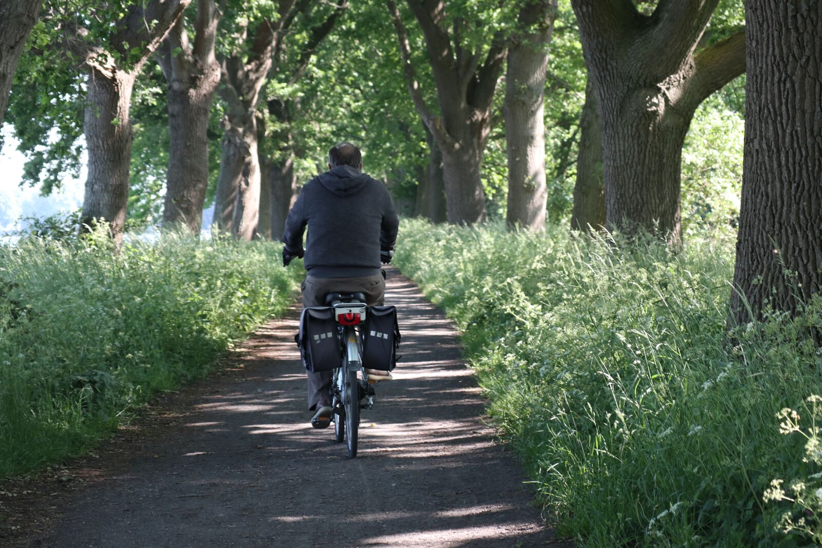 Canon EOS M100 sample photo. Walker, bike, path photography