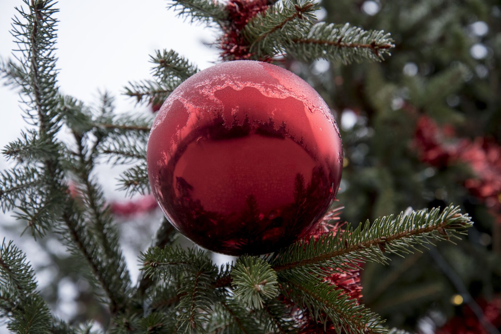 Nikon D750 sample photo. Christmas bauble, festive, decoration photography