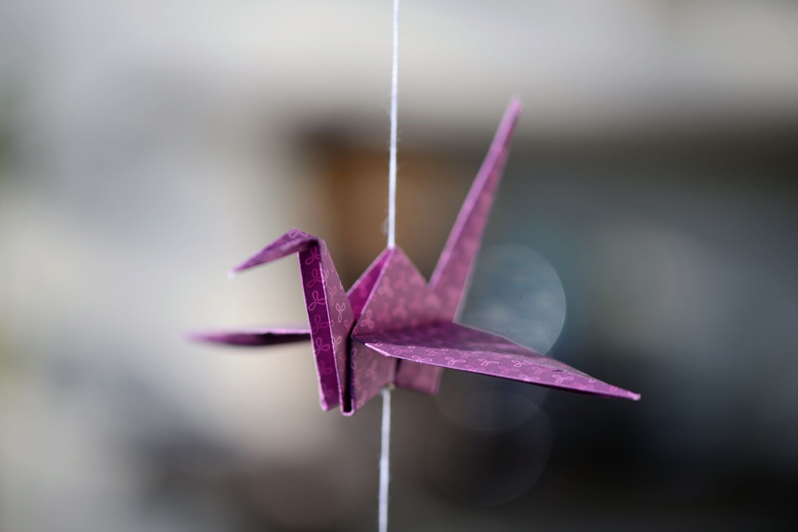 Nikon D800 sample photo. Origami, crane, bird photography