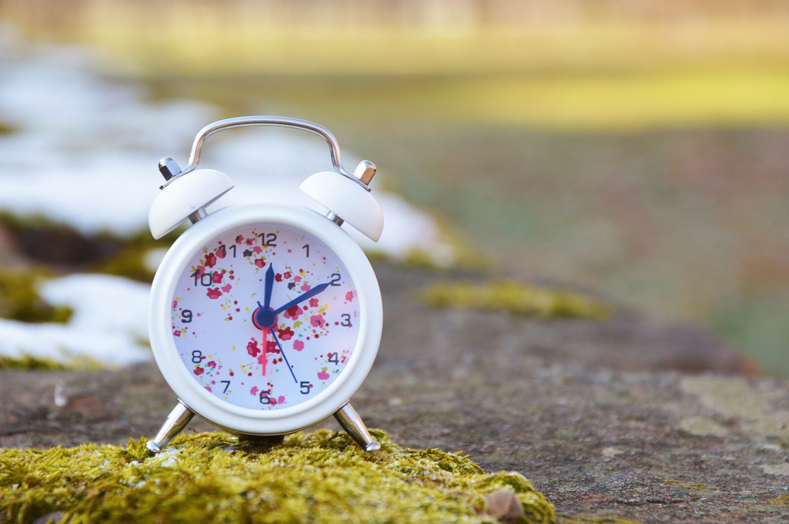 Nikon D3200 sample photo. Clock, season, new year's photography