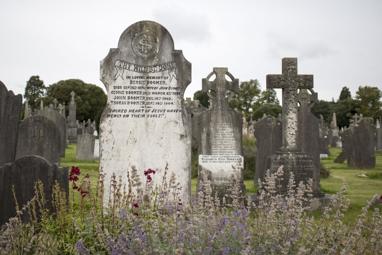 Canon EOS 750D (EOS Rebel T6i / EOS Kiss X8i) sample photo. Glasnevin, dublin, ireland photography