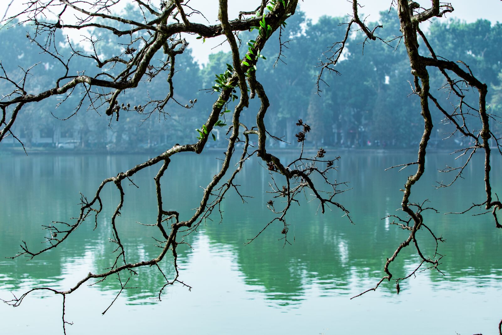 Canon EF 70-200mm F2.8L USM sample photo. Landscape, wallpaper, nature photography