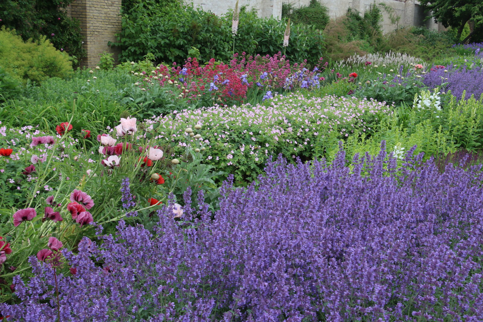 Canon EOS 7D Mark II sample photo. Country, flower, bed, flowers photography