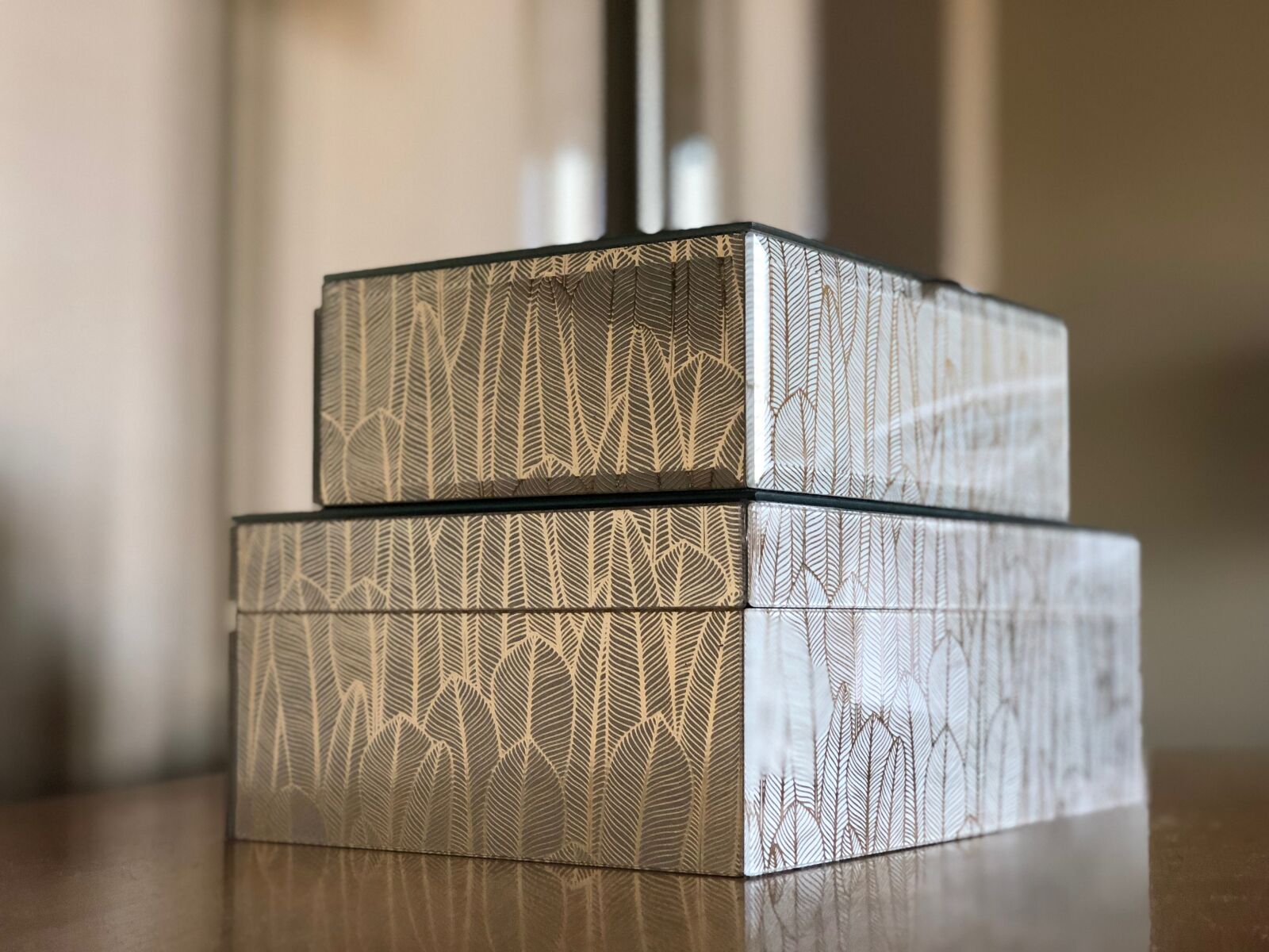 iPhone 8 Plus back dual camera 6.6mm f/2.8 sample photo. Box, boxes, table photography