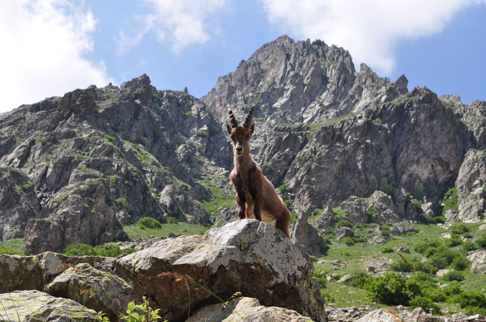 Nikon D5000 sample photo. Nature, rock, travel photography