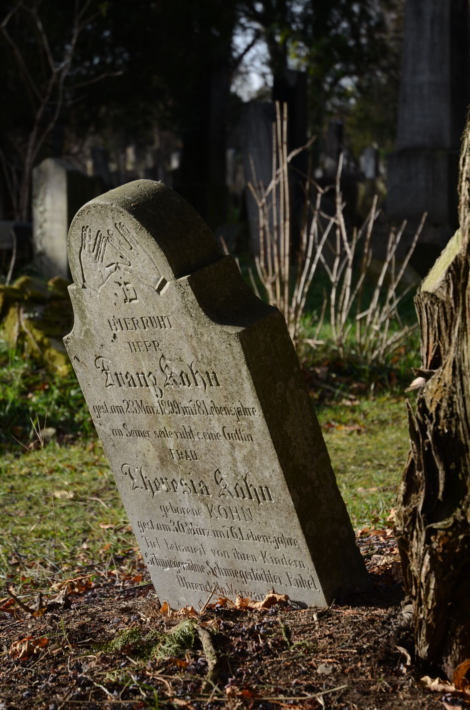 Nikon D7000 sample photo. Cemetery, central cemetery, vienna photography
