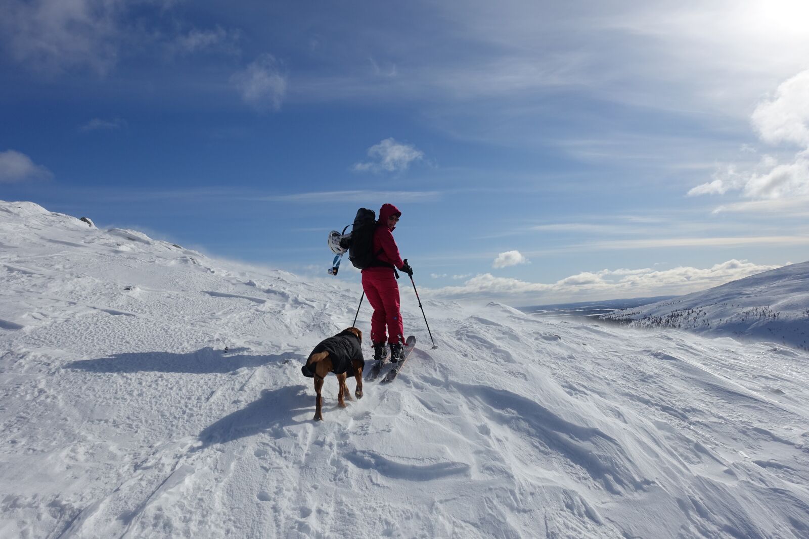 Sony Cyber-shot DSC-RX100 III sample photo. Downhill skiing, fell, skier photography