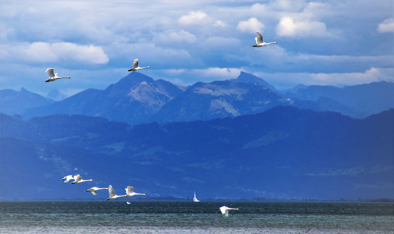 Canon EOS 80D sample photo. Far view, in flight photography