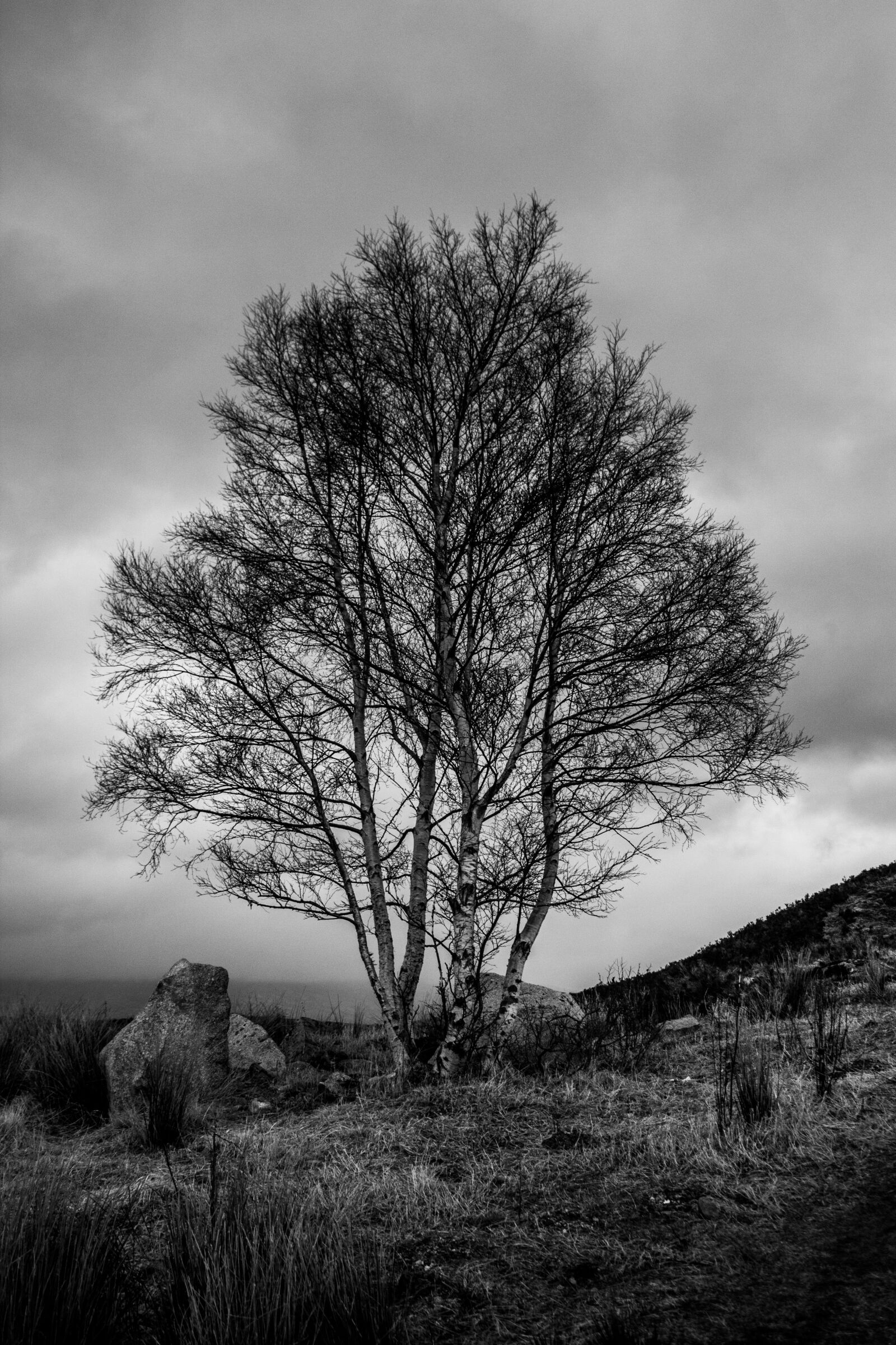 Canon EOS 600D (Rebel EOS T3i / EOS Kiss X5) sample photo. Scotland, water, lake photography