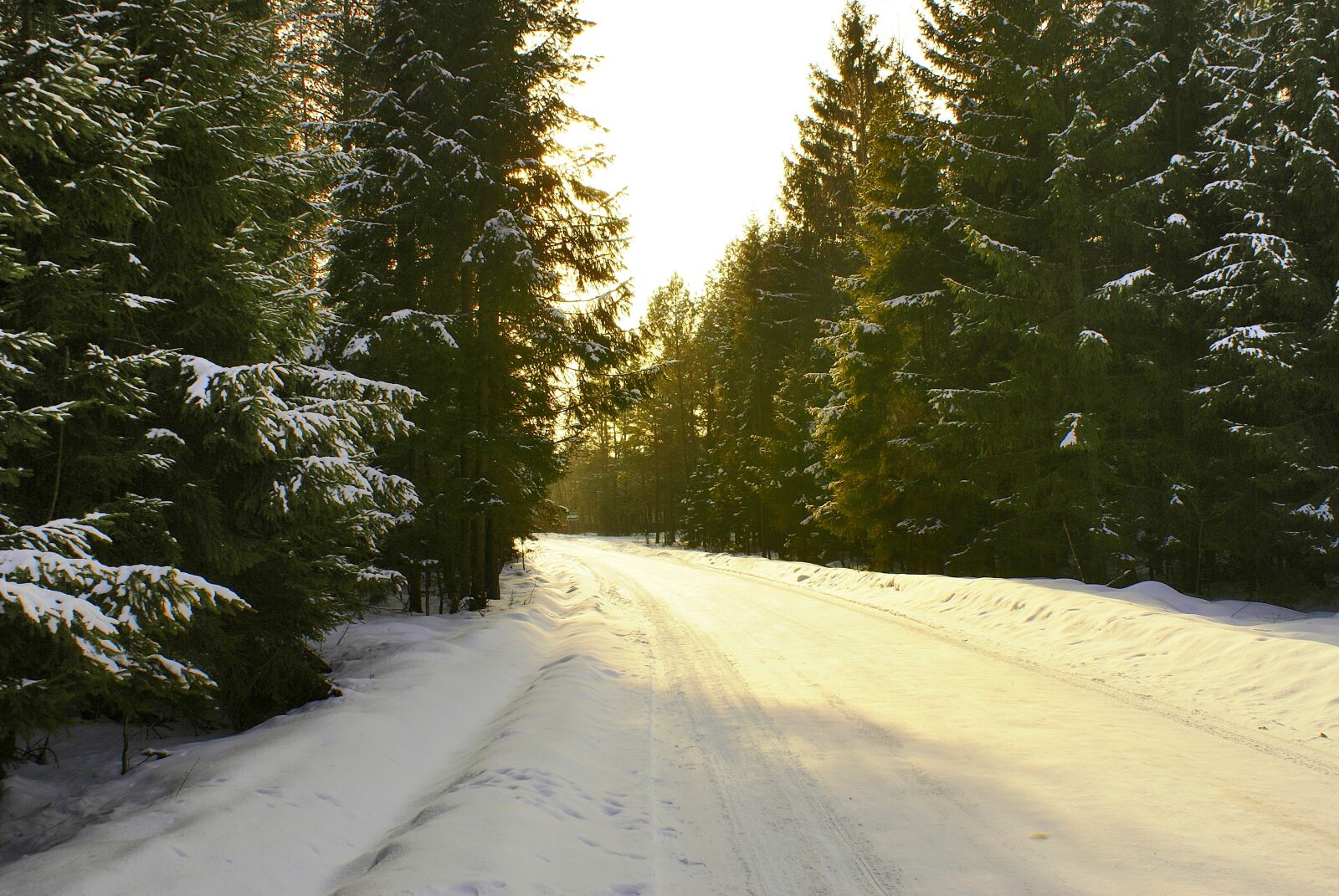 Sony Alpha DSLR-A100 sample photo. Way, winter, snow photography