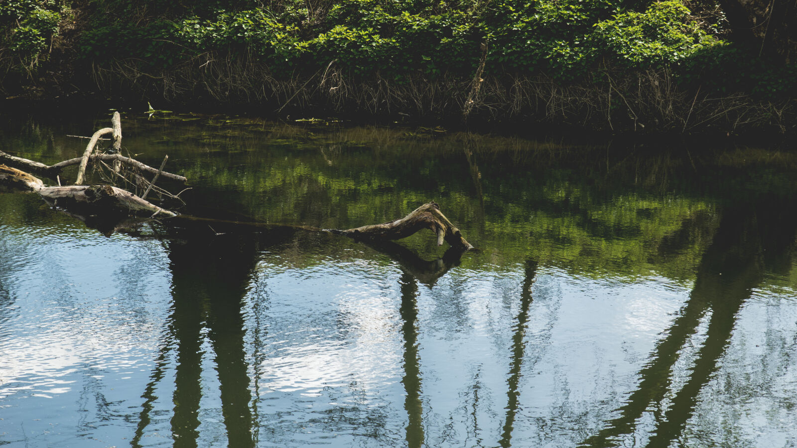 24-70mm F2.8-2.8 SSM sample photo. Nature, river, water photography