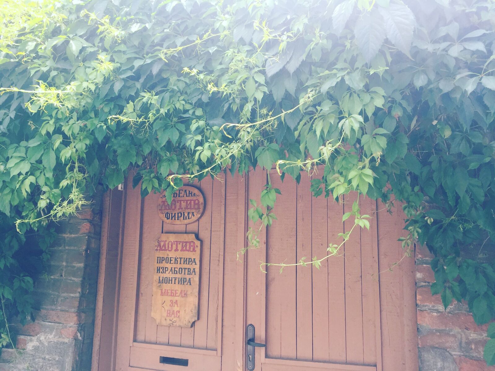 Apple iPhone 6 sample photo. Countryside, door, green photography
