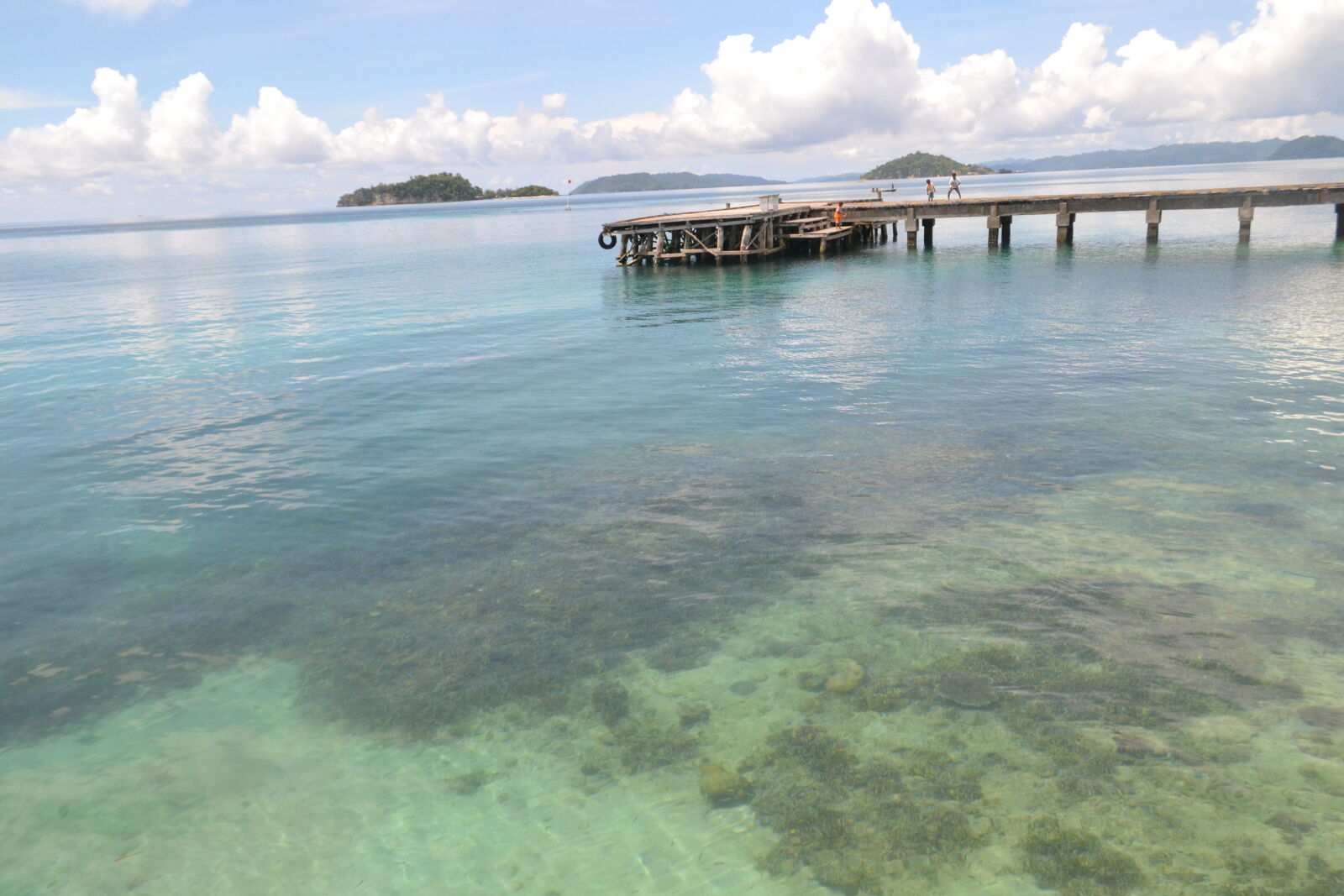 Nikon D3100 sample photo