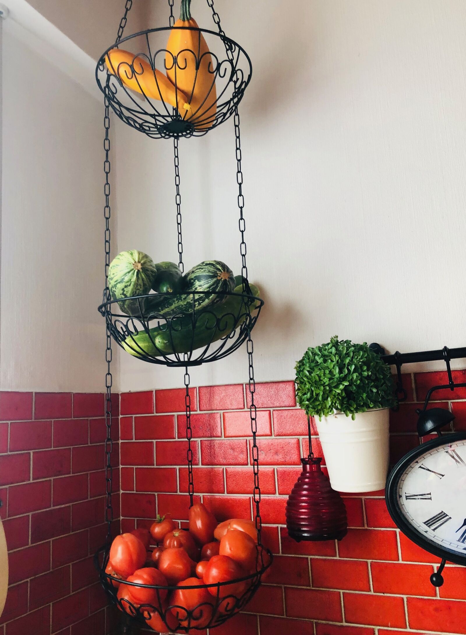 iPhone 8 Plus back dual camera 3.99mm f/1.8 sample photo. Vegetable, harvest, tomatoes photography