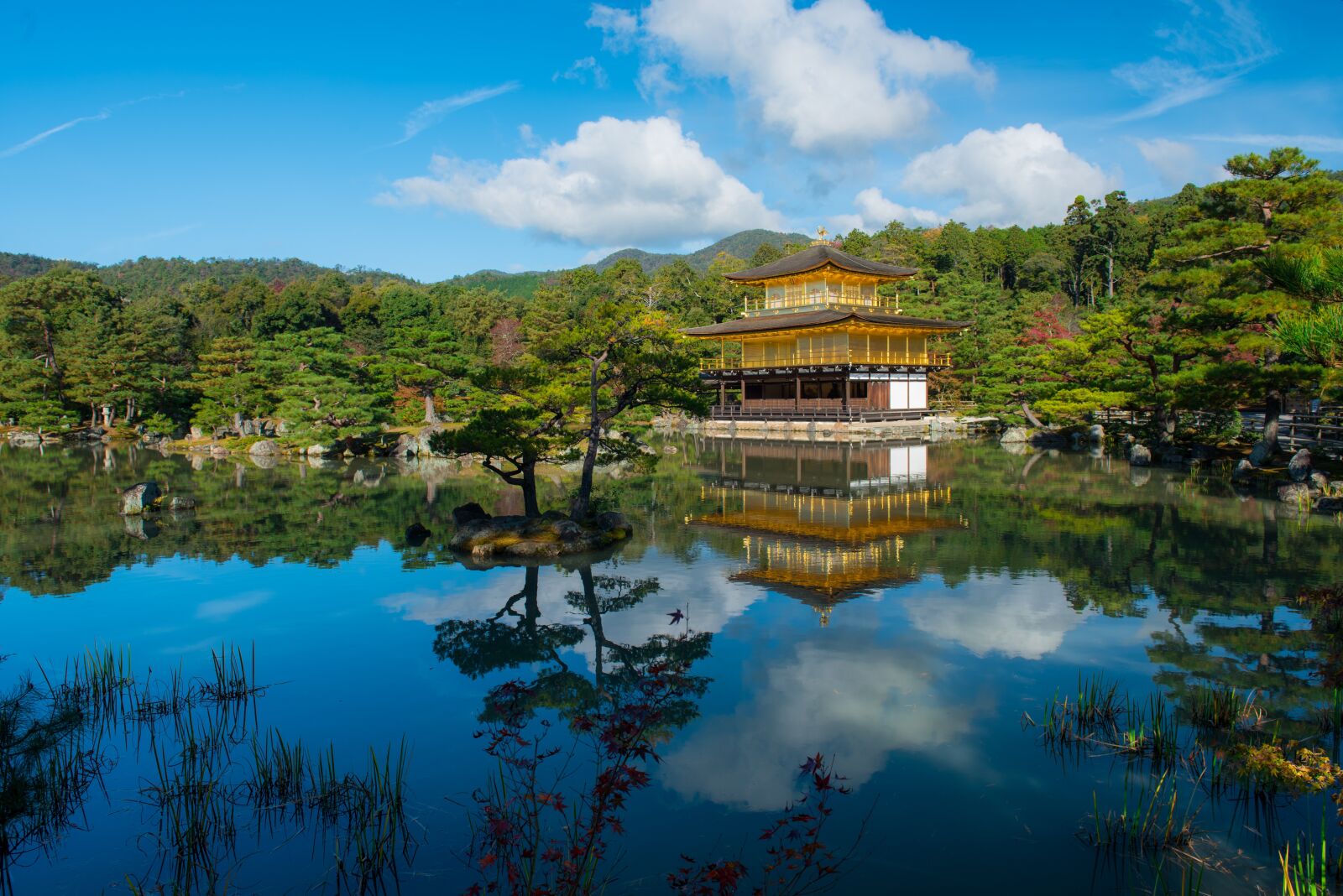 Nikon D810 sample photo. Golden, pavilion, japan photography