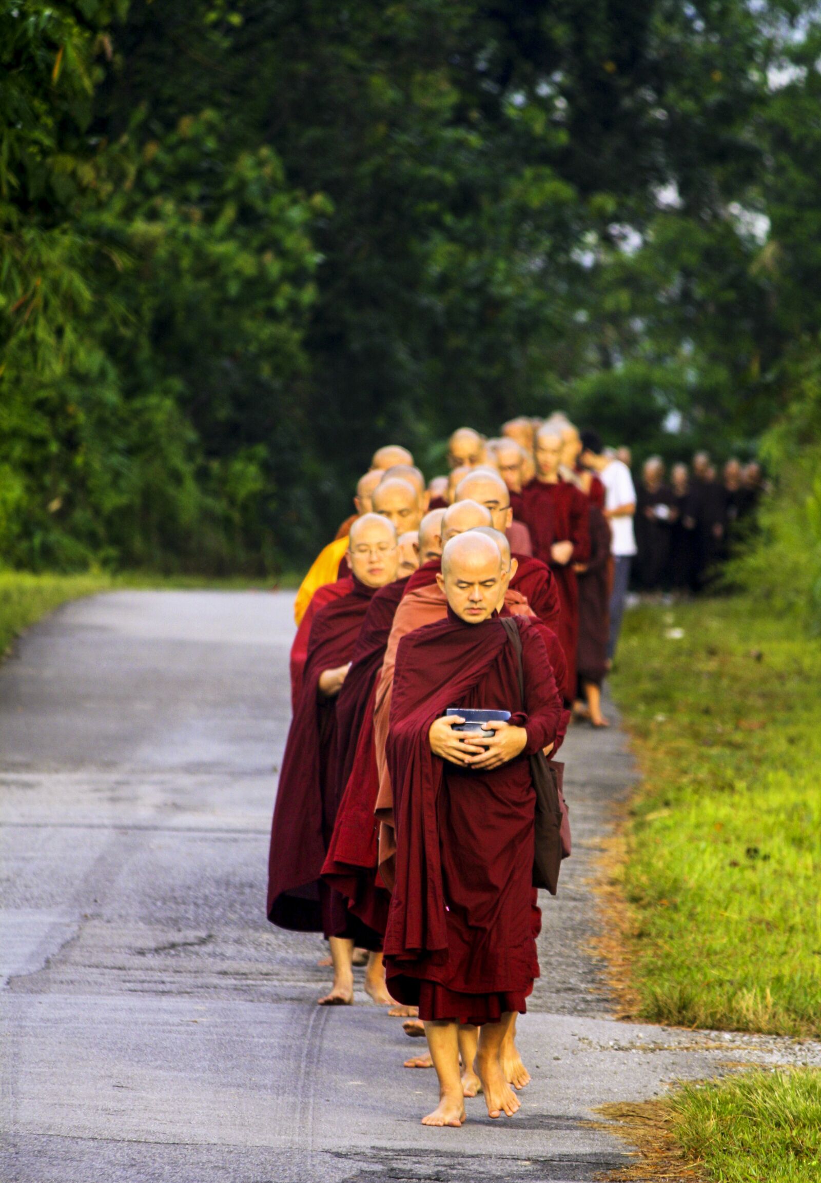 Canon EOS 1000D (EOS Digital Rebel XS / EOS Kiss F) sample photo. Sangha in line, pindacara photography