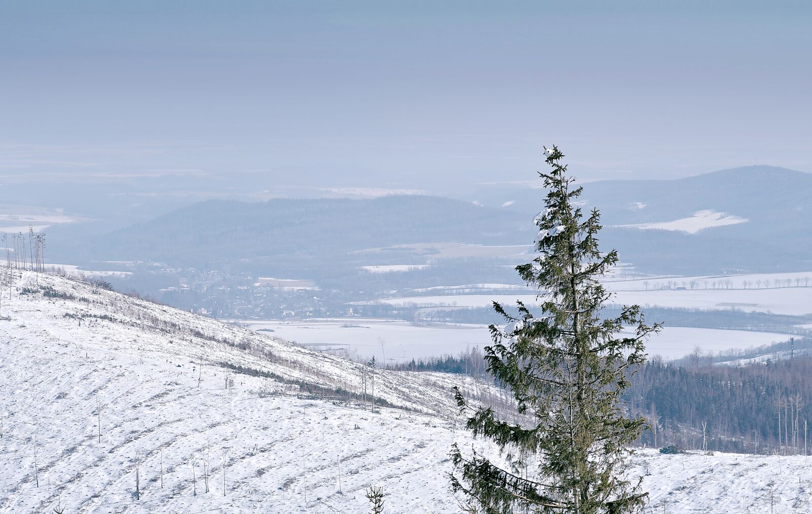 Pentax K-S2 sample photo. Spruce, snow, mountains photography