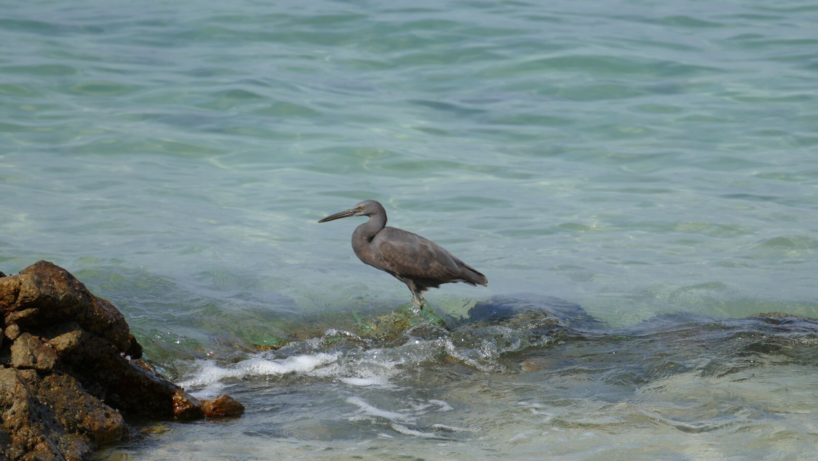 Leica V-Lux (Typ 114) sample photo. Sea, blue, beach photography