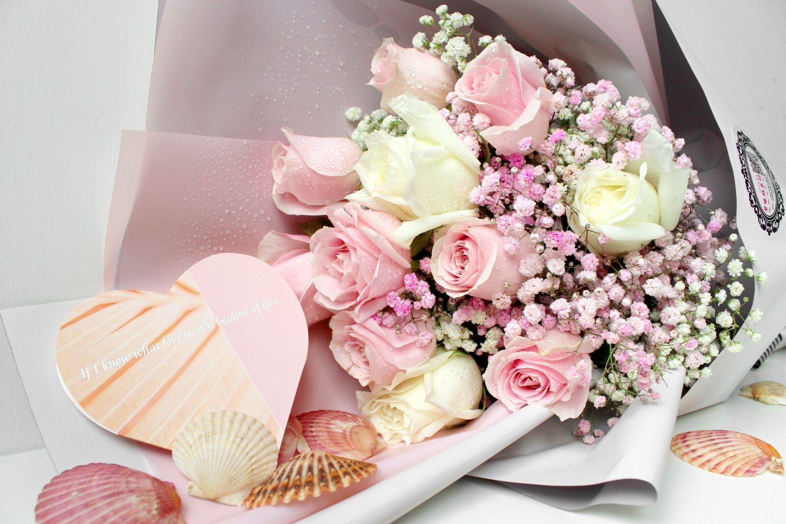 Canon EOS 600D (Rebel EOS T3i / EOS Kiss X5) sample photo. Shell, rose, gypsophila paniculata photography