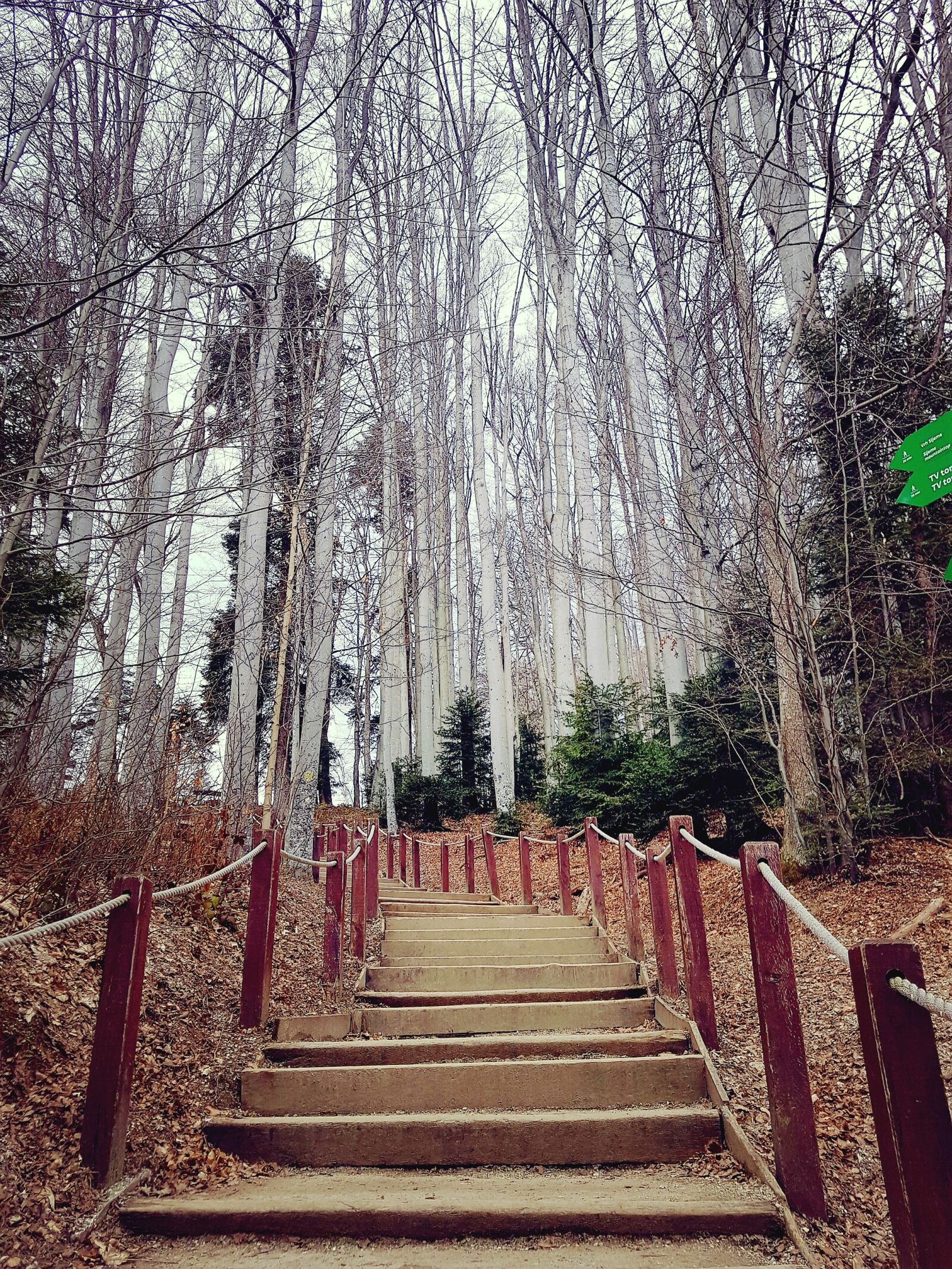 Samsung Galaxy S7 Edge sample photo. Autumn, fall, stairs photography