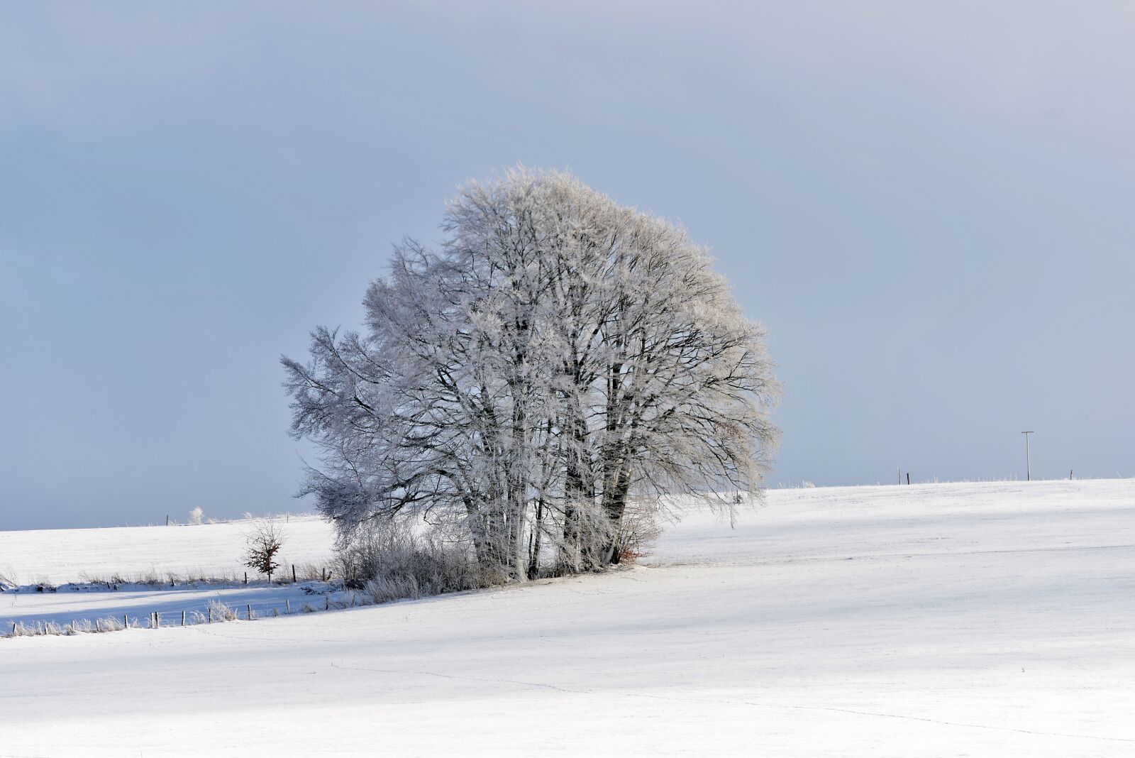 Nikon D600 sample photo. Landscape, winter, snow photography
