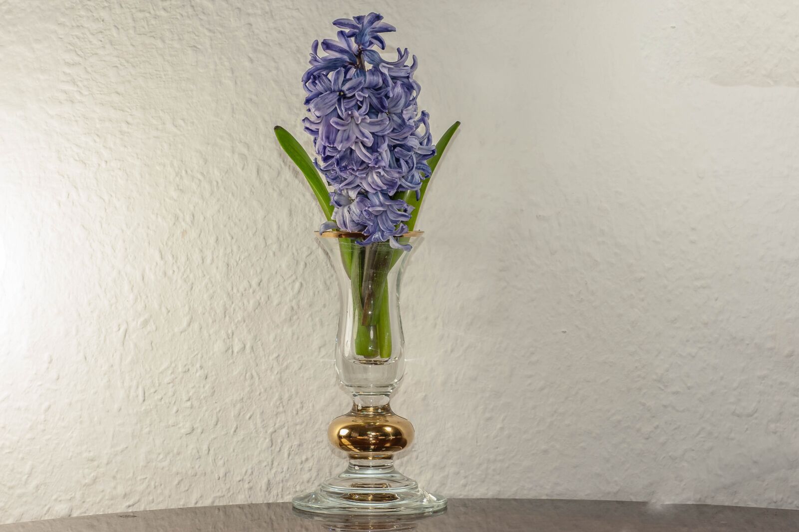 Nikon D700 sample photo. Vase, flower, still life photography