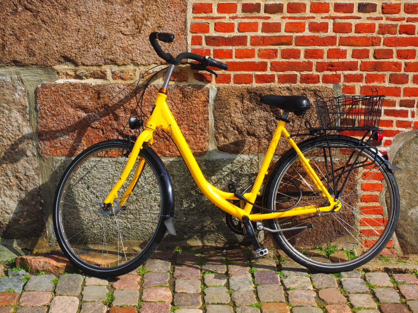 Olympus OM-D E-M1 + Olympus M.Zuiko Digital ED 12-40mm F2.8 Pro sample photo. Wheel, cycling, more photography