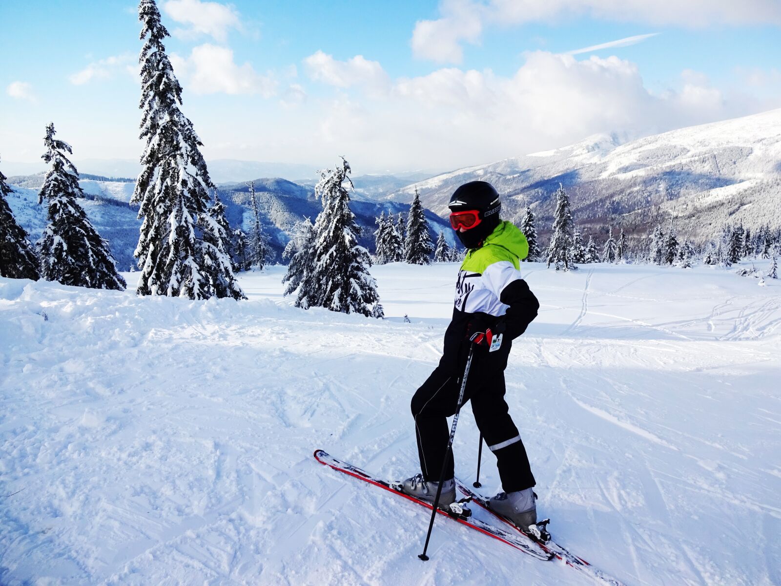 Sony Cyber-shot DSC-WX220 sample photo. Alpine skier, winter, skis photography
