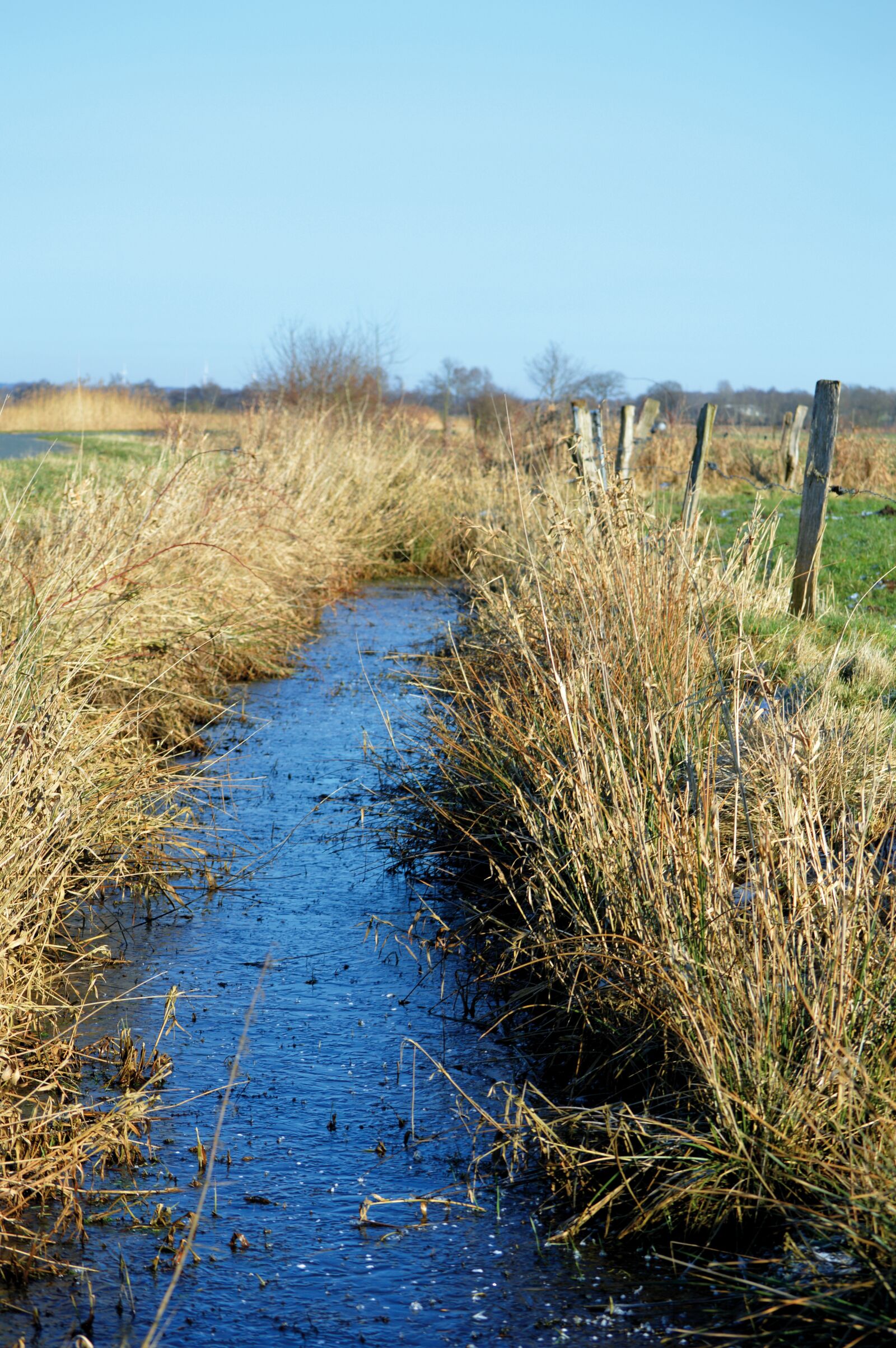 Nikon D3200 sample photo. Field mark, dig, winter photography
