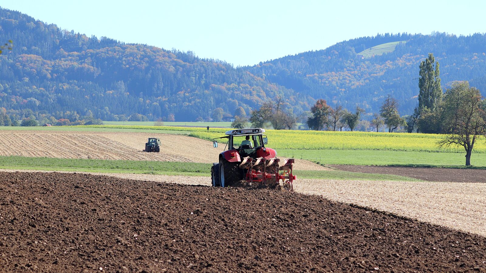 Canon EF 70-300 F4-5.6 IS II USM sample photo. The field of economics photography