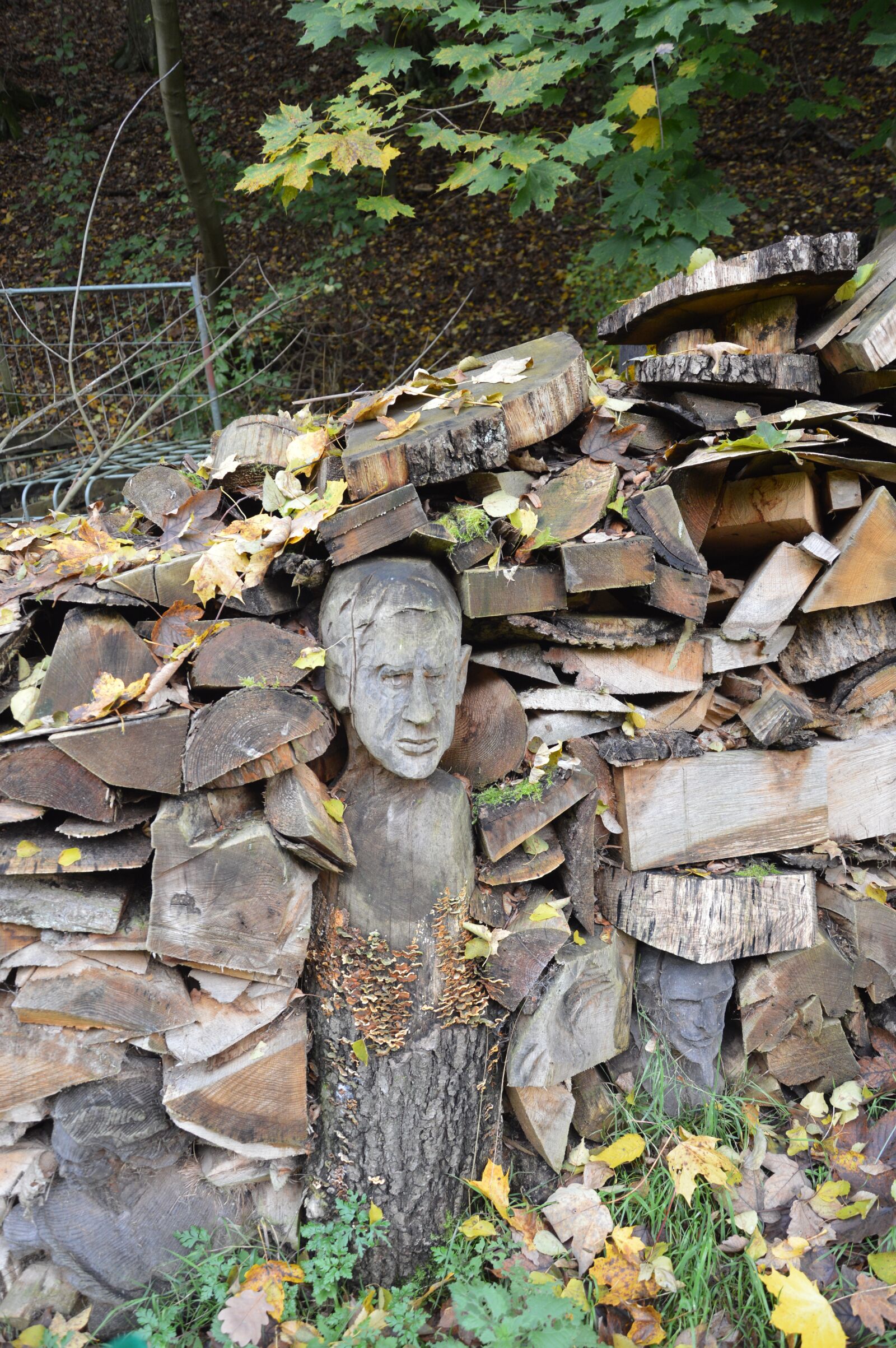 Nikon D3200 sample photo. Wood, carvings, autumn photography