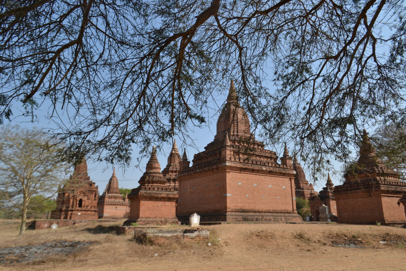 Nikon D3100 sample photo