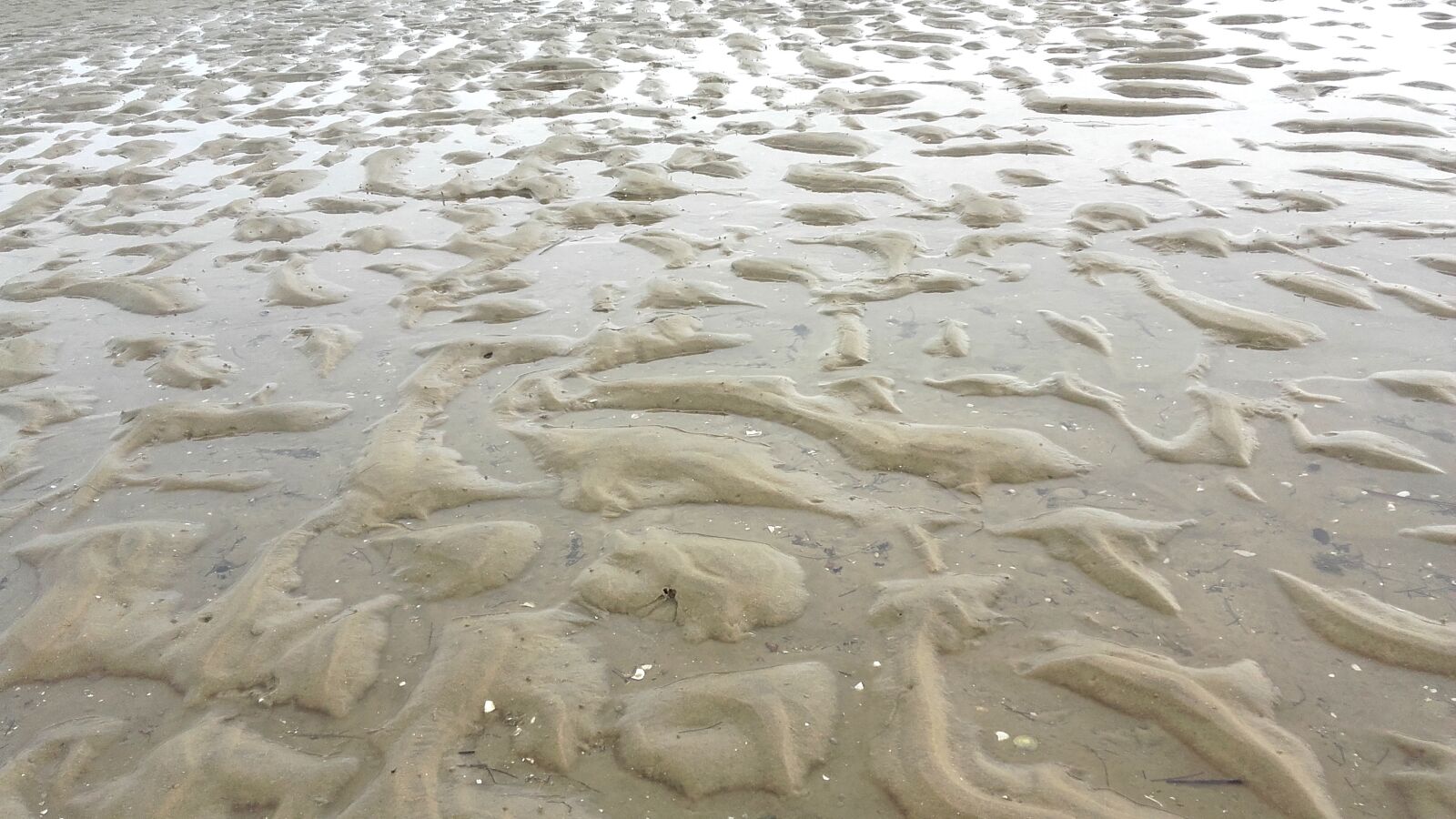 Samsung Galaxy Grand Prime sample photo. Sand, ocean, tide photography