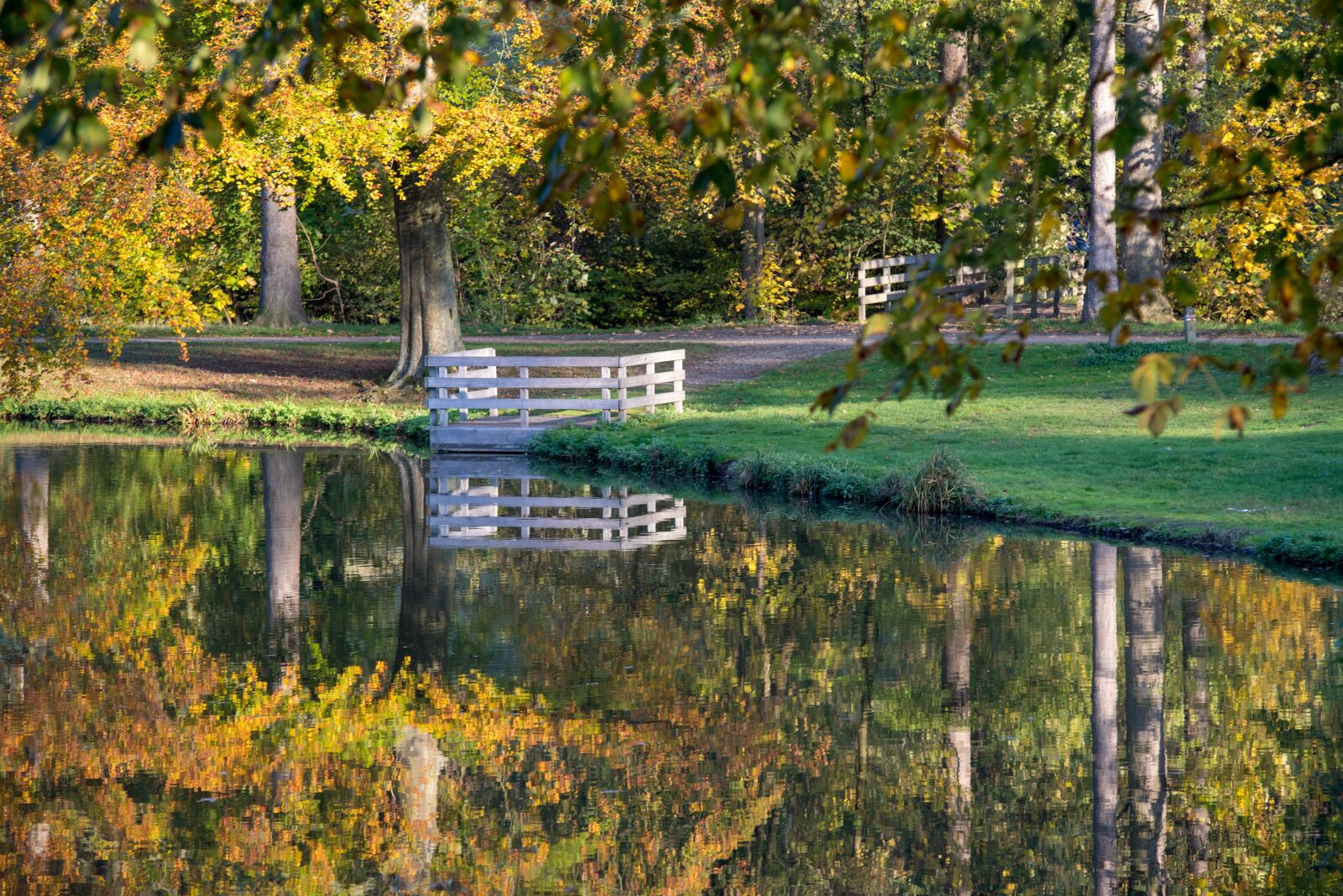Canon EOS 6D Mark II sample photo. Autumn, color, nature photography