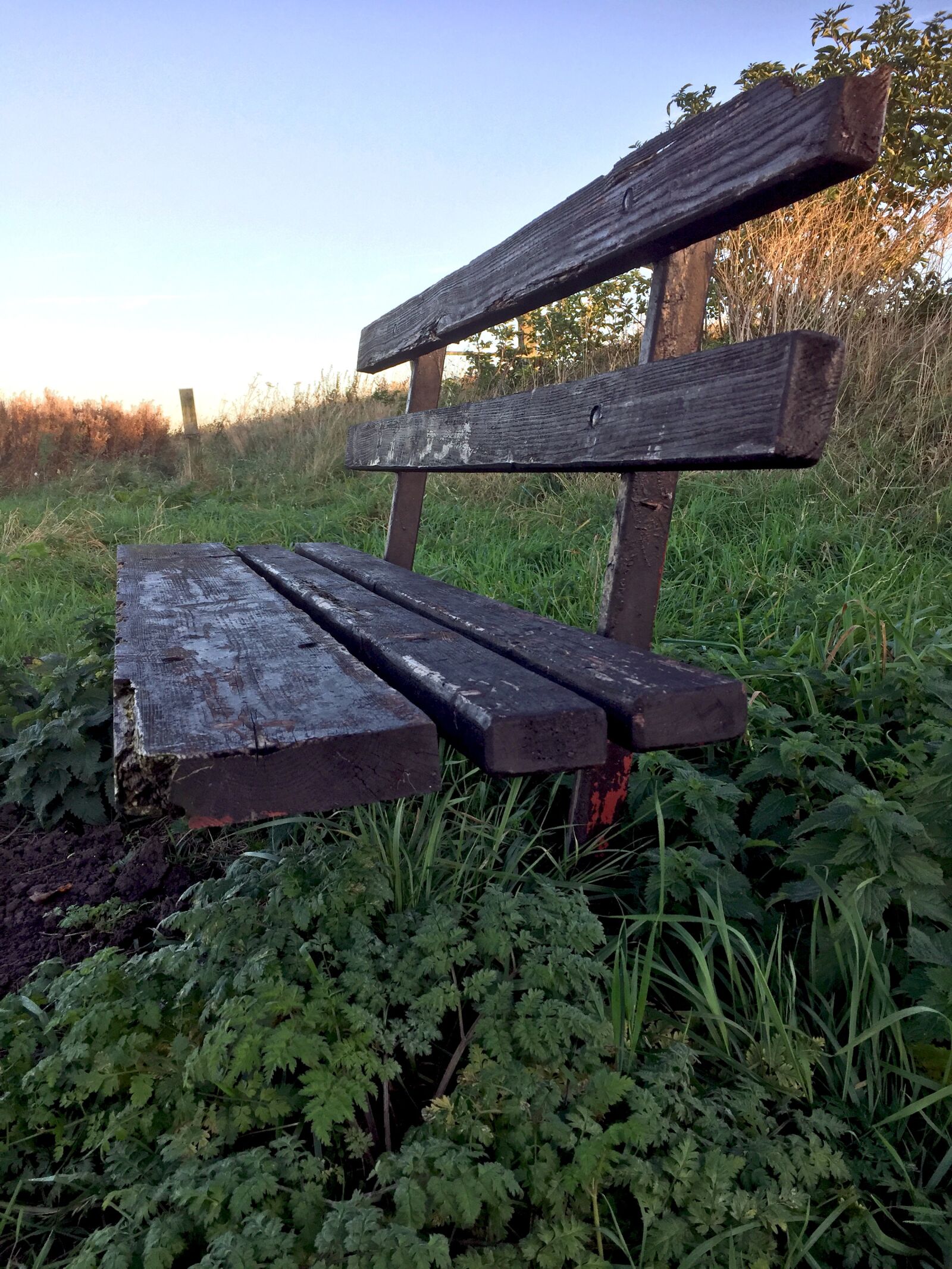 iPhone 6 back camera 4.15mm f/2.2 sample photo. Bench, lonely, alone photography