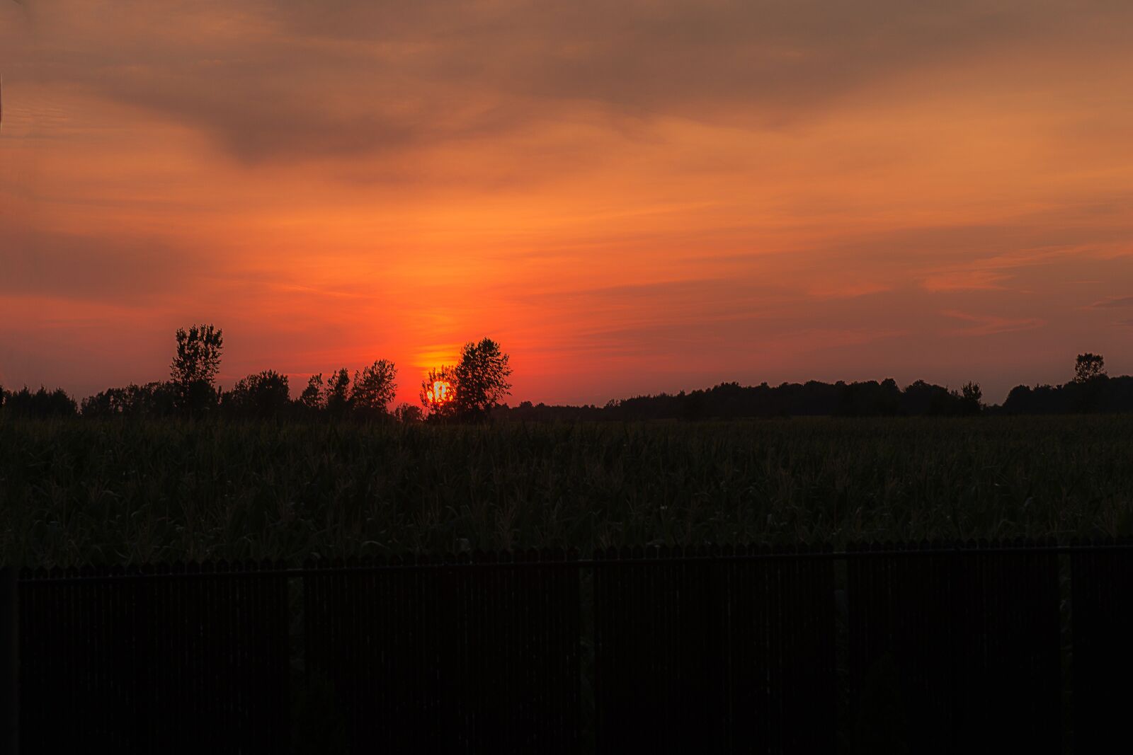 Nikon D600 sample photo. Sunset, sun, landscape photography