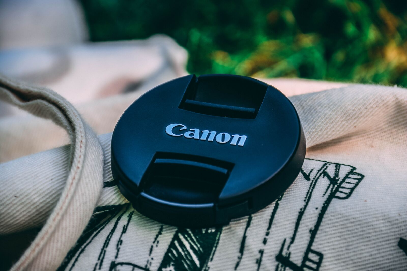 Canon EOS 80D sample photo. Canon, camera, digital photography