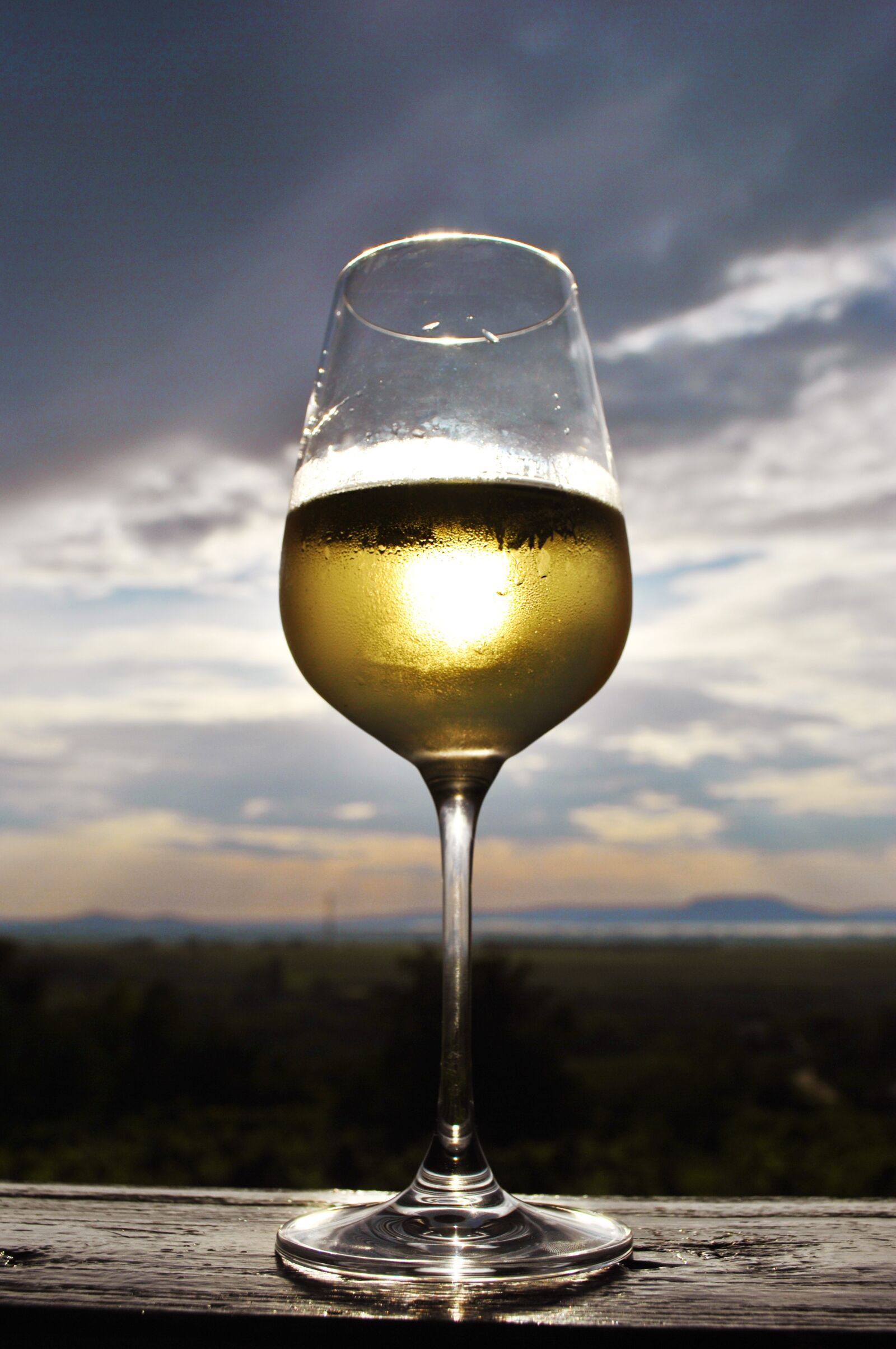 Nikon D3000 sample photo. Lake balaton, wine, summer photography